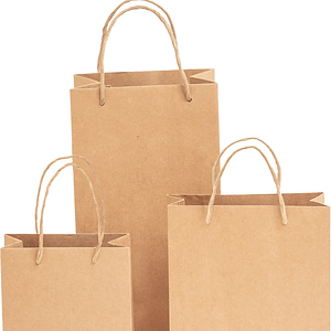 Paper Bags