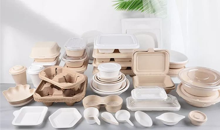 Milieuvriendelijk Bagasse servies