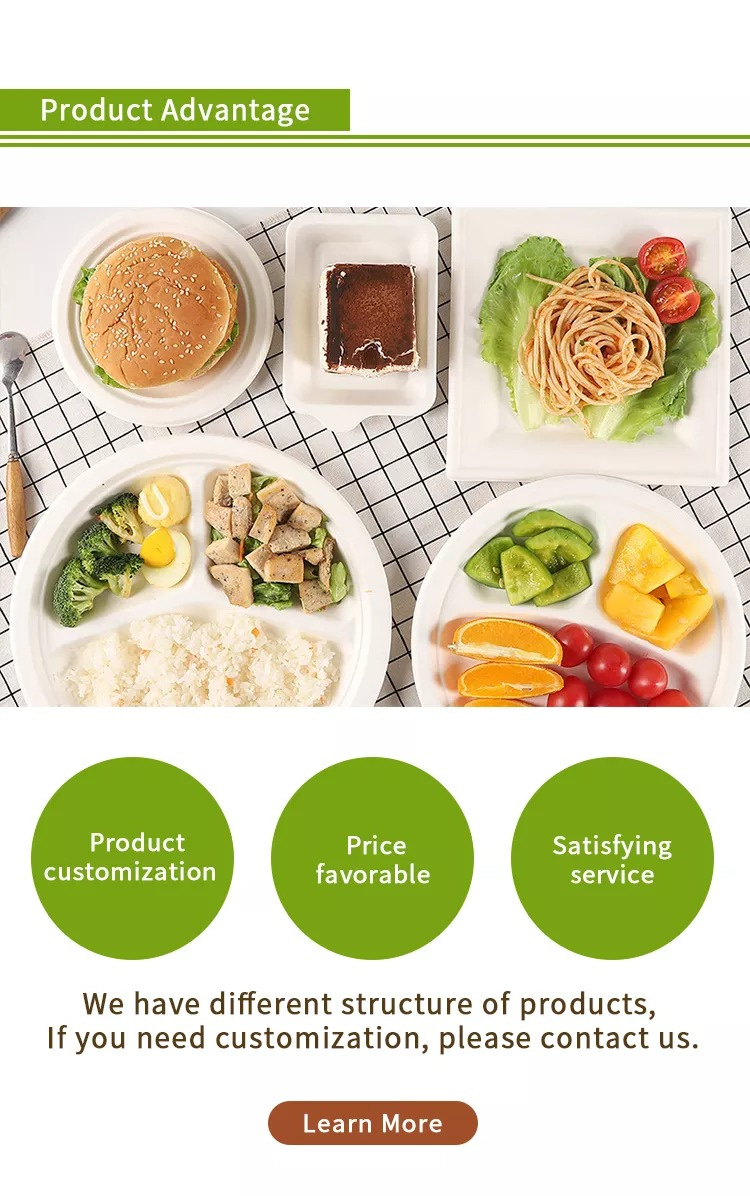 Disposable Food Packaging Supplier- Momoio 