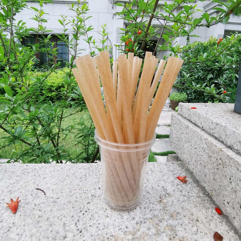 Sugarcane Straws