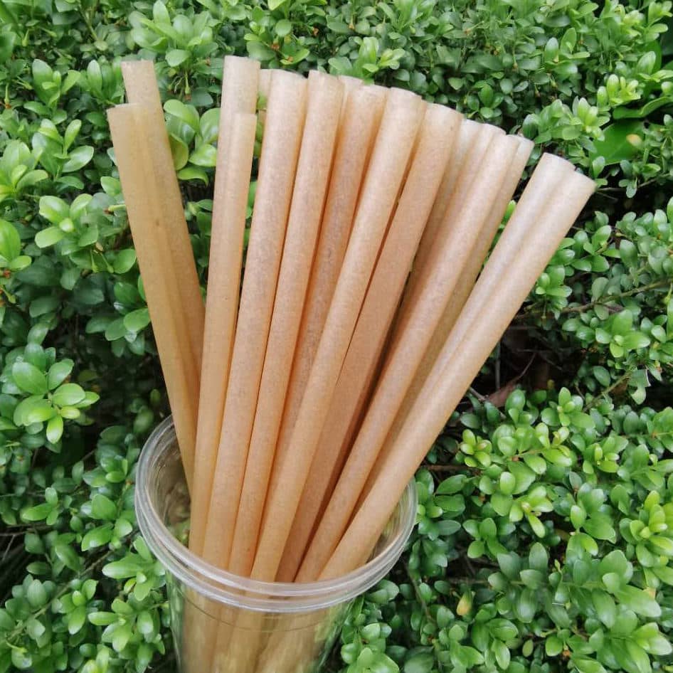 Sugarcane Straws