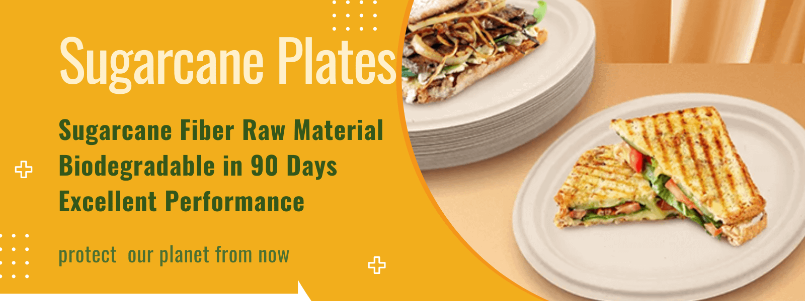 BAGASSE PLATE, SUGARCANE PLATE