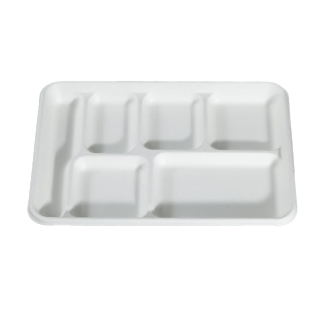 bagasse trays