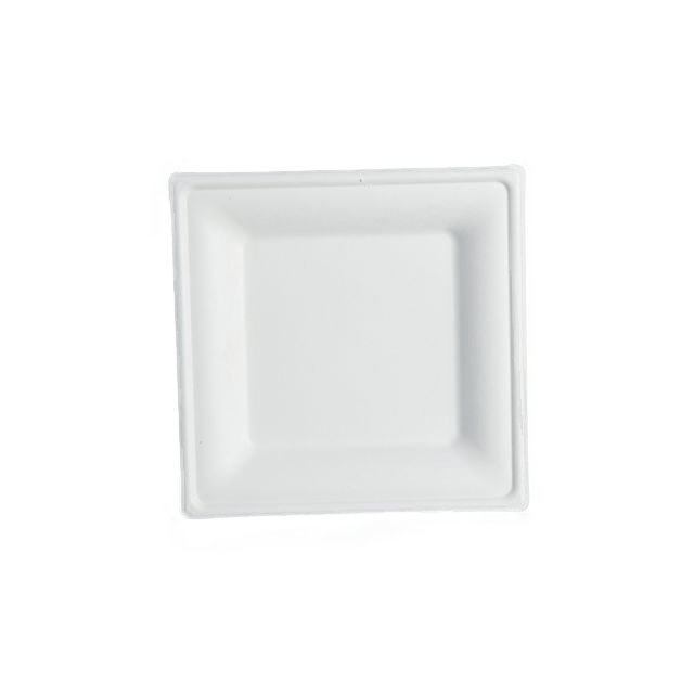 Square Bagasse Plate