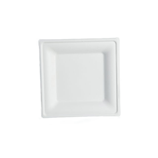 Vierkant Bagasse-bord