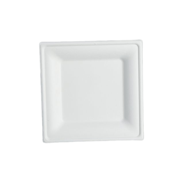 Vierkant Bagasse-bord