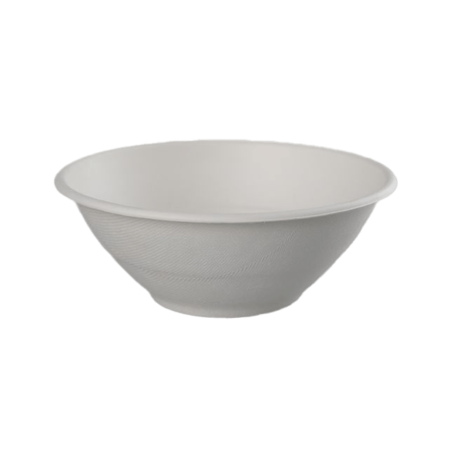 bagasse bowl