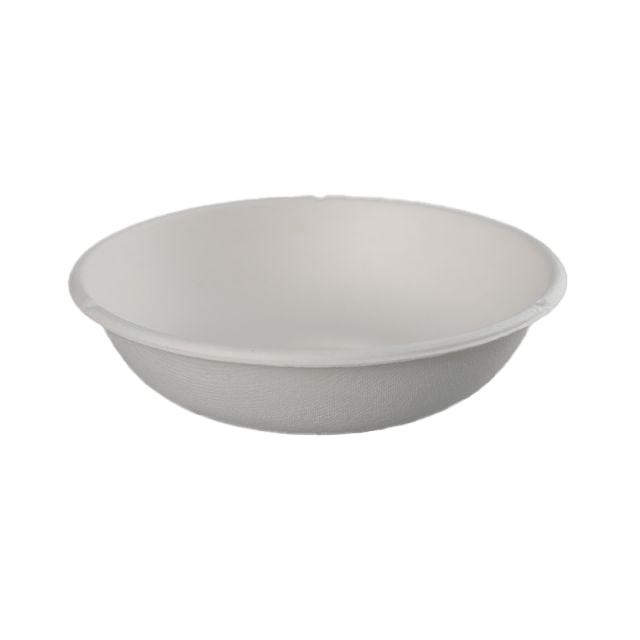 bagasse bowl