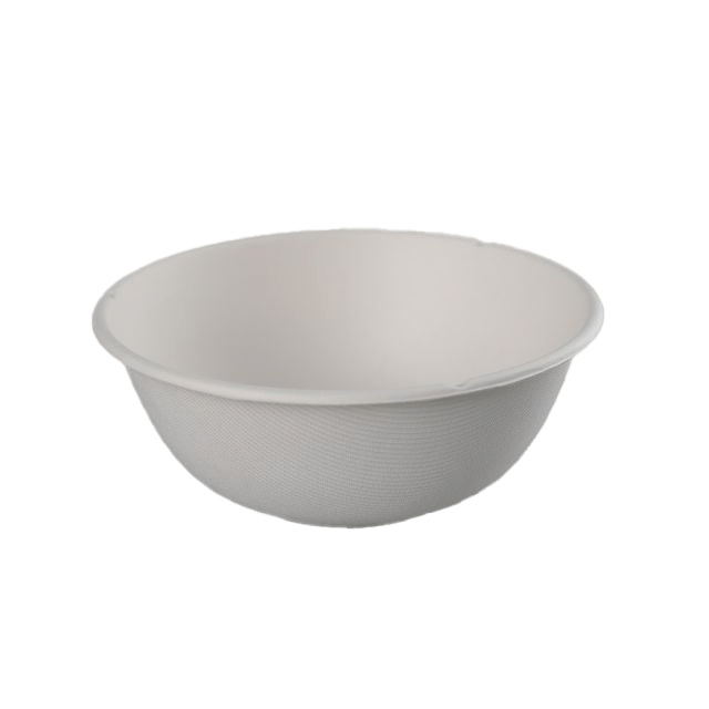 bagasse bowl