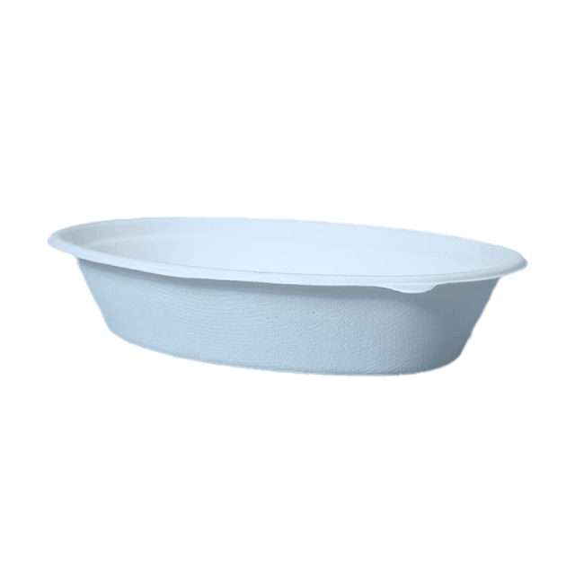 bagasse bowl