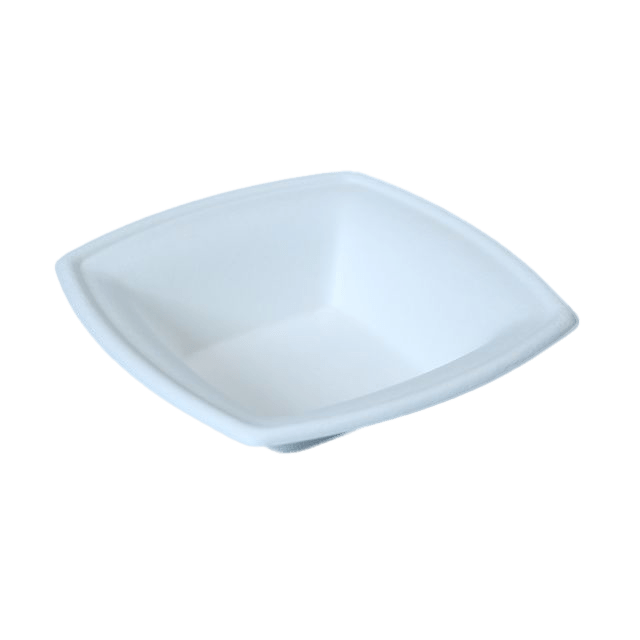 bagasse bowl