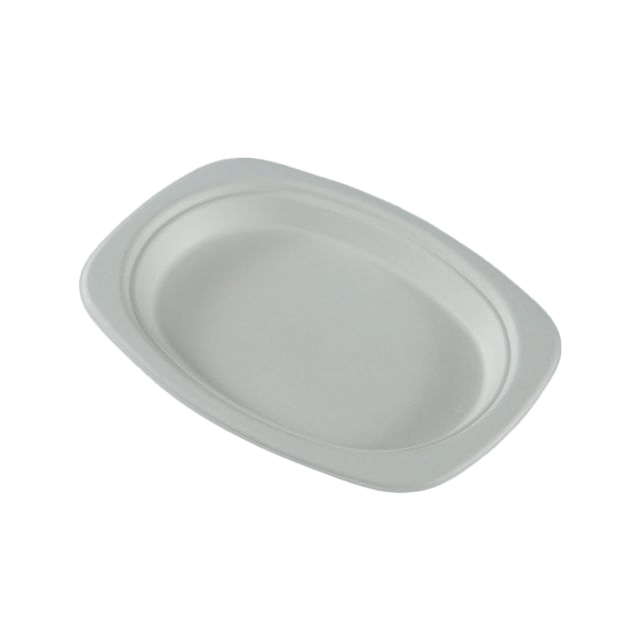 bagasse trays