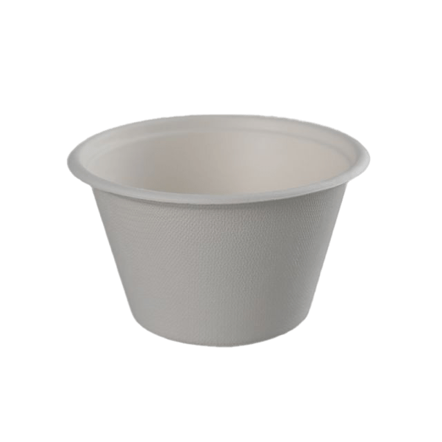 bagasse bowl