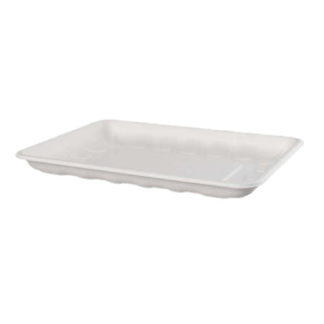 bagasse trays