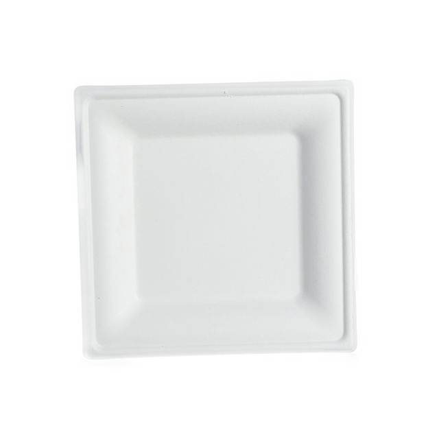 Square Bagasse Plate