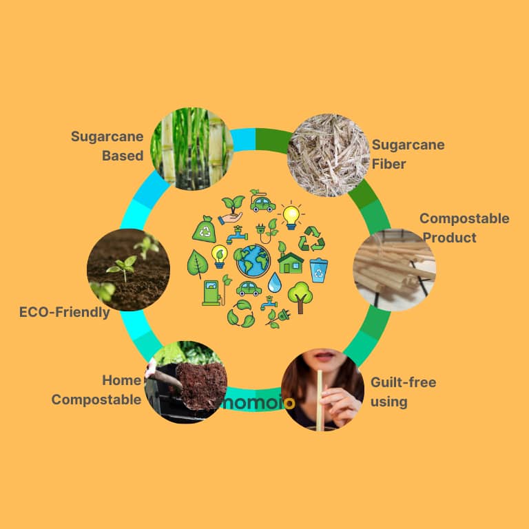 sugarcane straws eco-friendly circle1