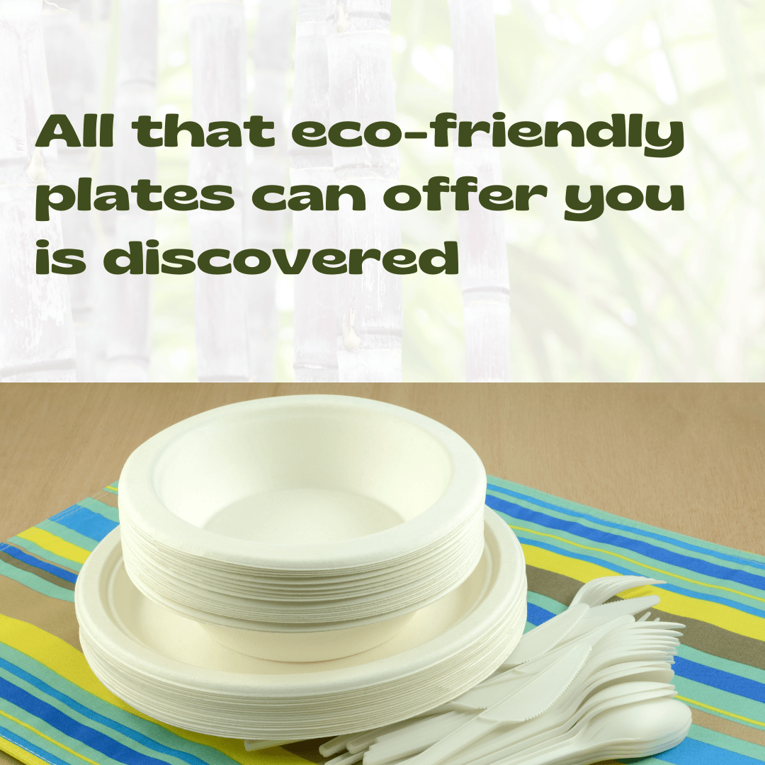 All-that-eco-friendly-plates-can-offer-you-is-discovered