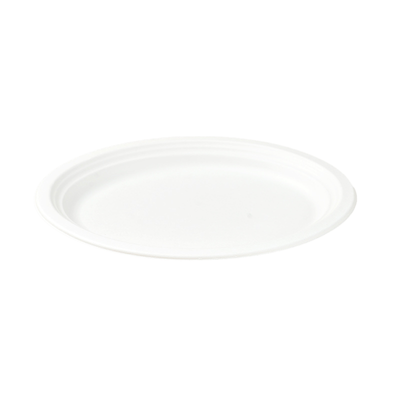 oval bagasse trays big