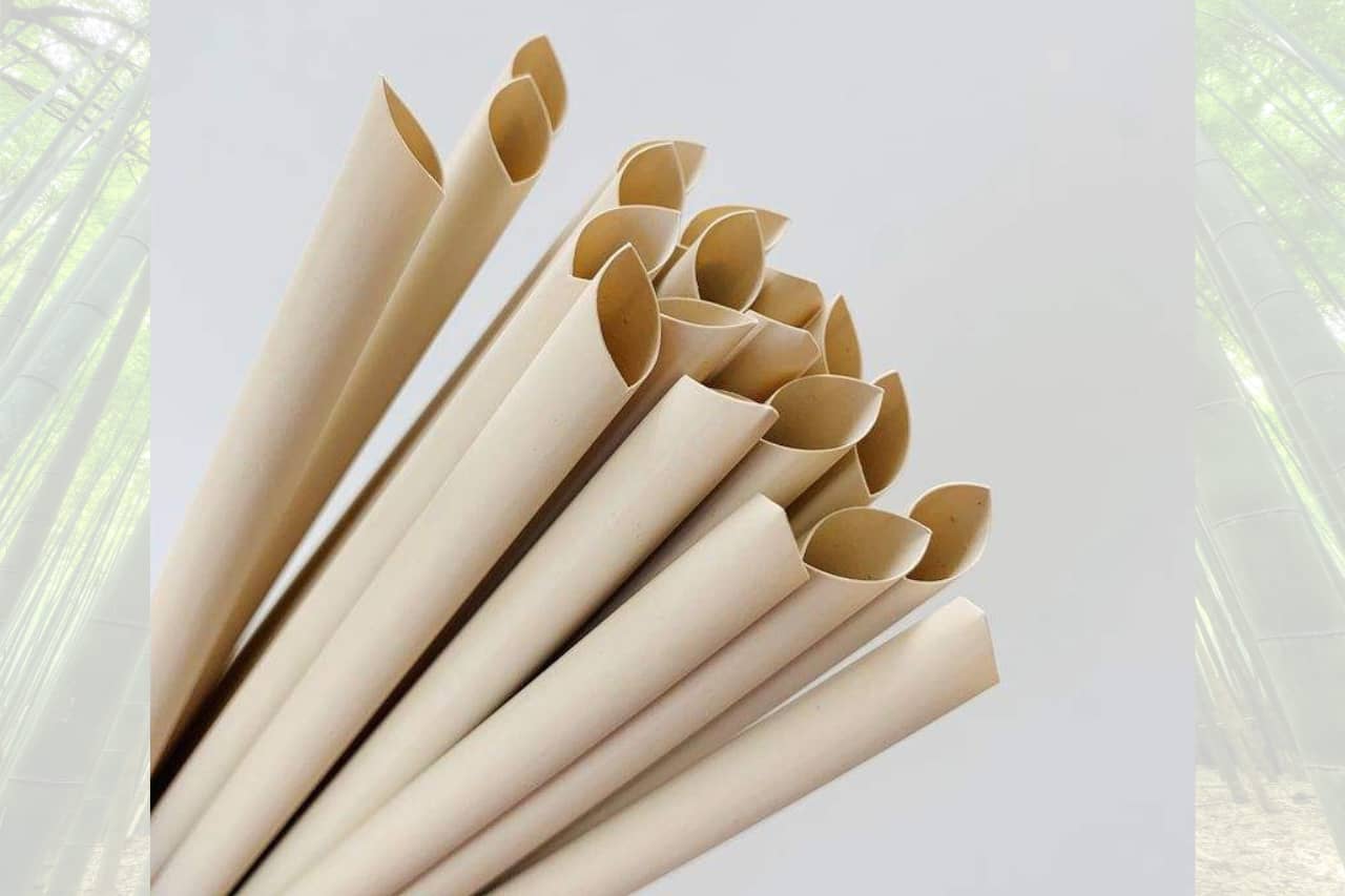 Bamboo Fiber Straws